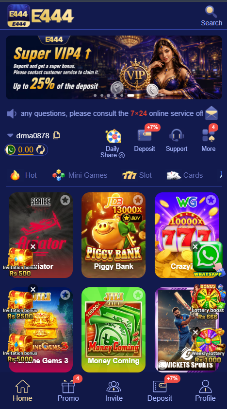 E444 Game Image