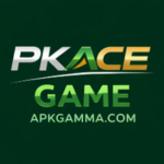 PK ACE GAME