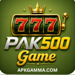 PAK500 Game