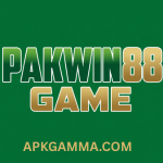 PakWin88 Game