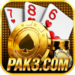 PAK3 Game Logo