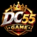 DC55 Game